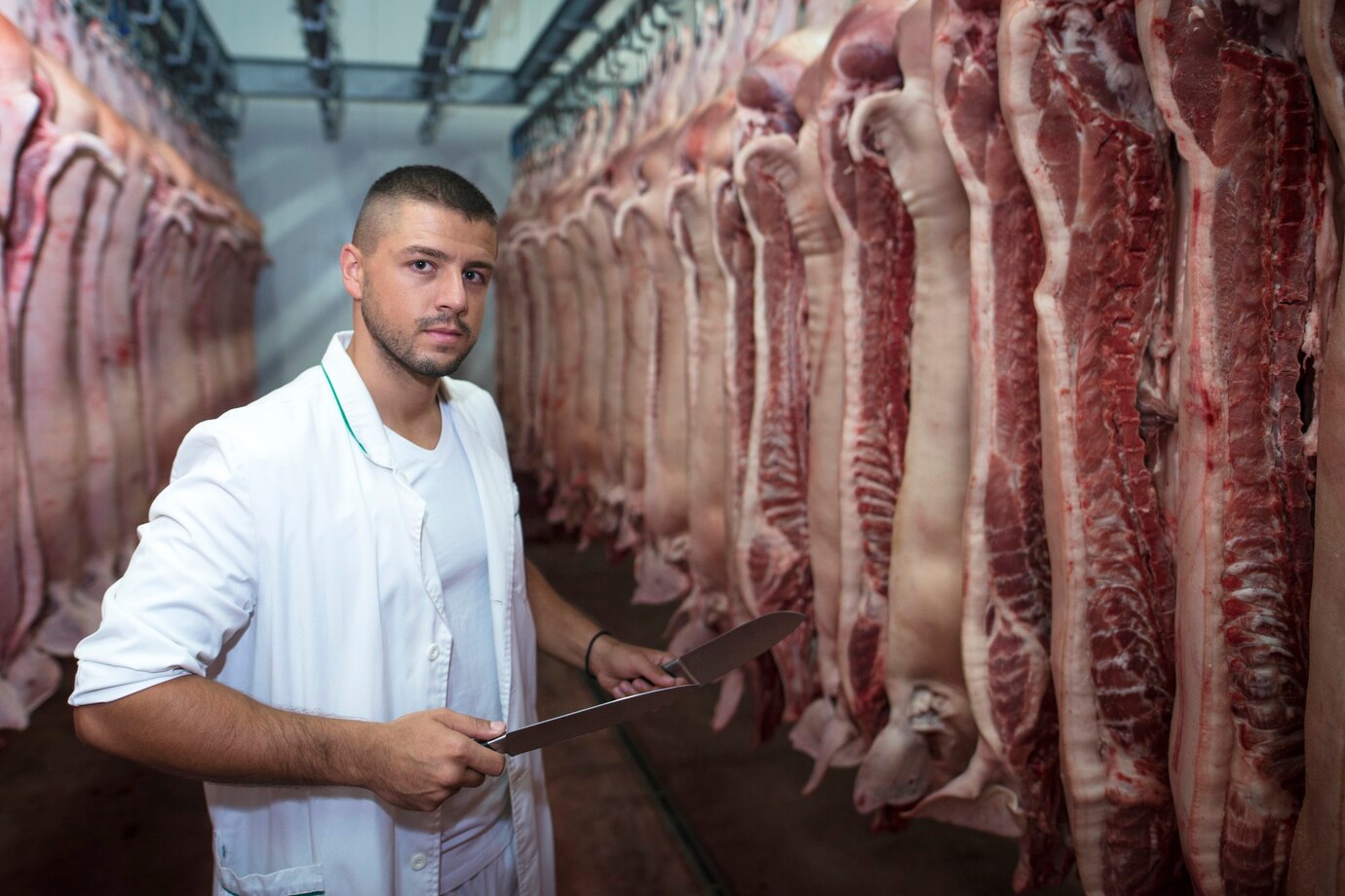 Taiwán segundo gran comprador de carne bobina nacional.